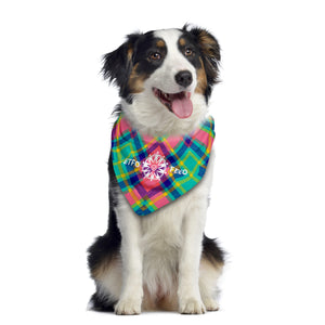 Dog Bandanas